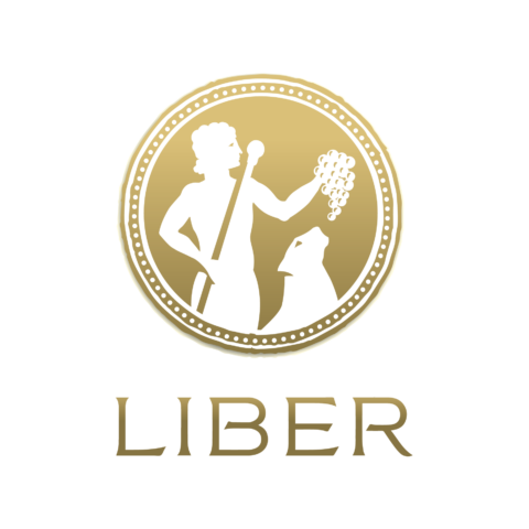 Liber Experience Logo