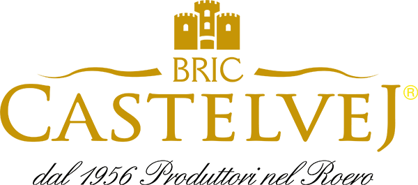 Logo Masterclass Bric Castelvej