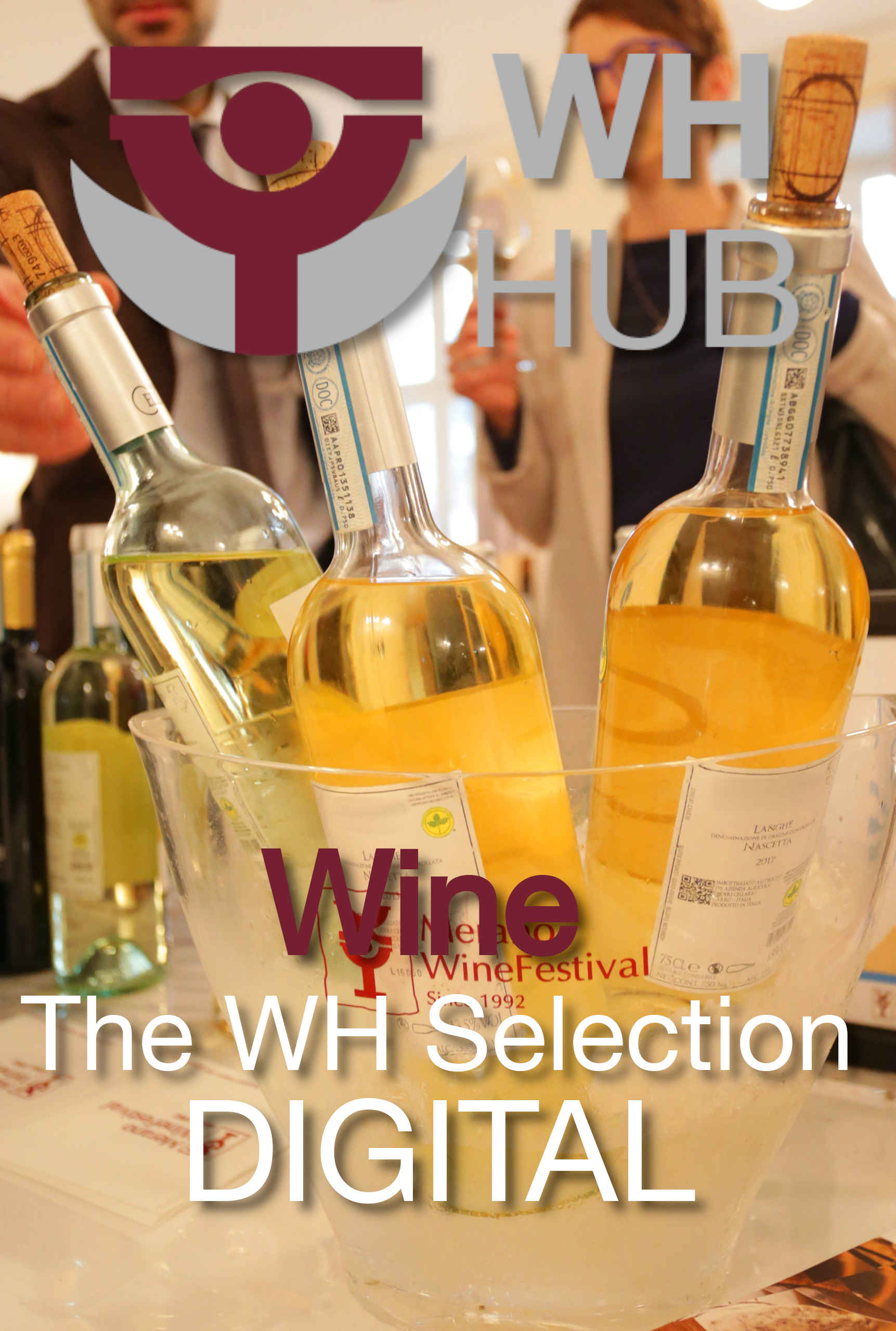 winehunterhub catalogo wine