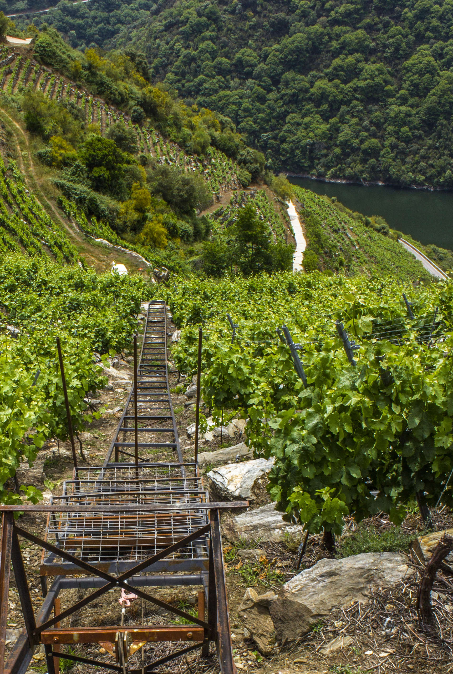 Mondial des Vins Extrêmes image